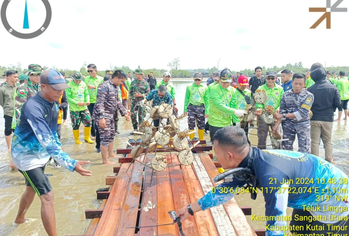 image: Arkara Energi Berkomitmen terhadap Keberlanjutan melalui Program Restorasi Ekosistem Pesisir
