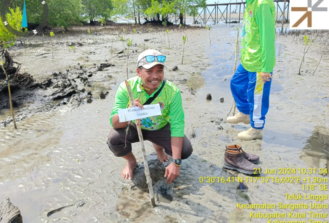 Arkara Energi Berkomitmen terhadap Keberlanjutan melalui Program Restorasi Ekosistem Pesisir - img1
