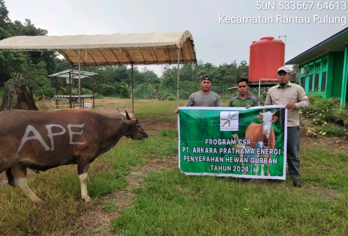 Bagikan Hewan Kurban - img1